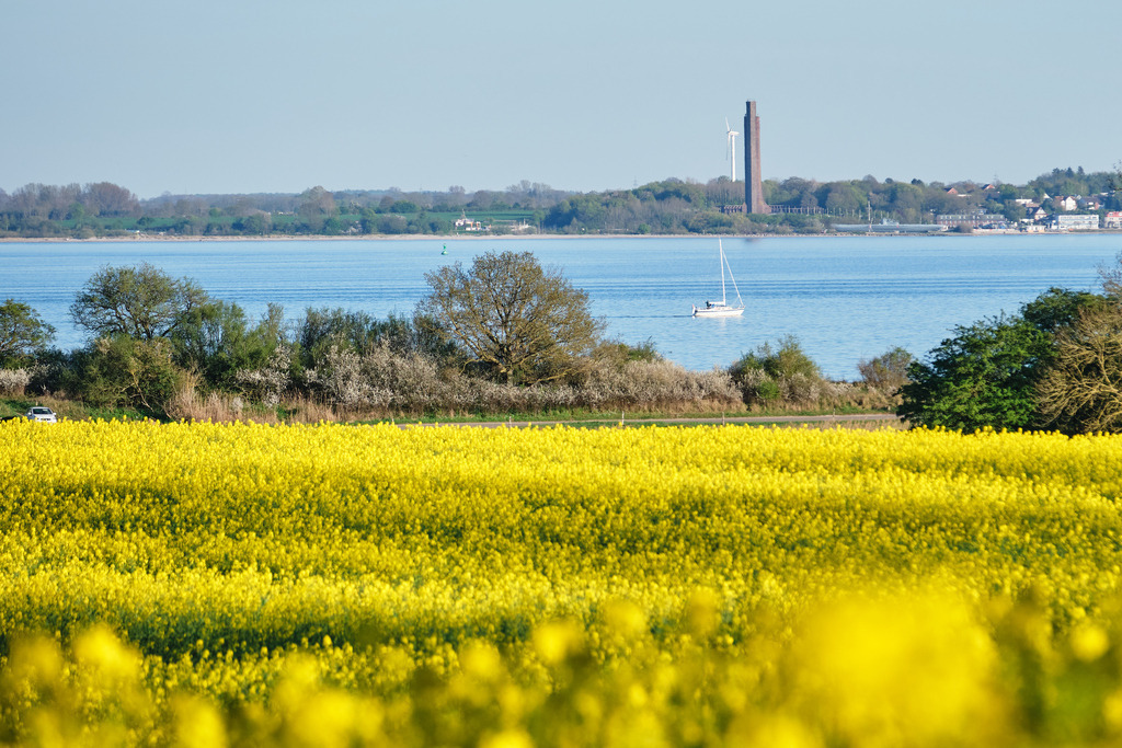 Ehrenmal Laboe im Raps | Entdecken Sie hochwertige Fotoprodukte für Ihr Zuhause, Büro oder als besonderes Geschenk.rpixel.de bietet Ihnen exklusive Fotografien aus den Bereichen Natur, Landschaft und Motiven vom Meer.Einfach direkt im Online-Shop bestellen. - Realisiert mit Pictrs.com