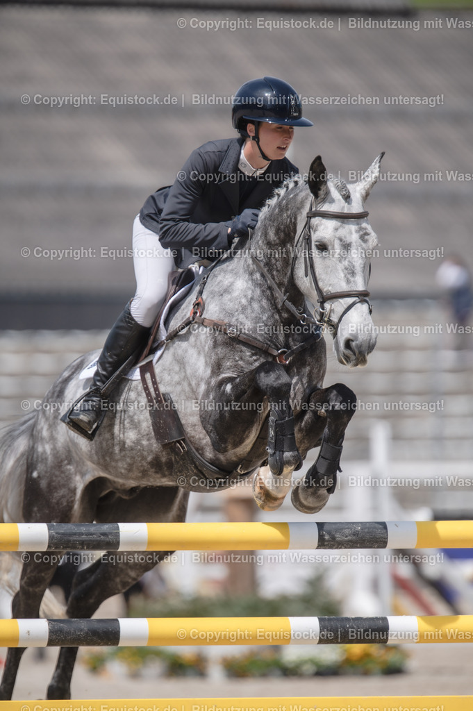 20240512_CCI4-S_Show-Jumping_0044 | Foto: Thomas Hartig