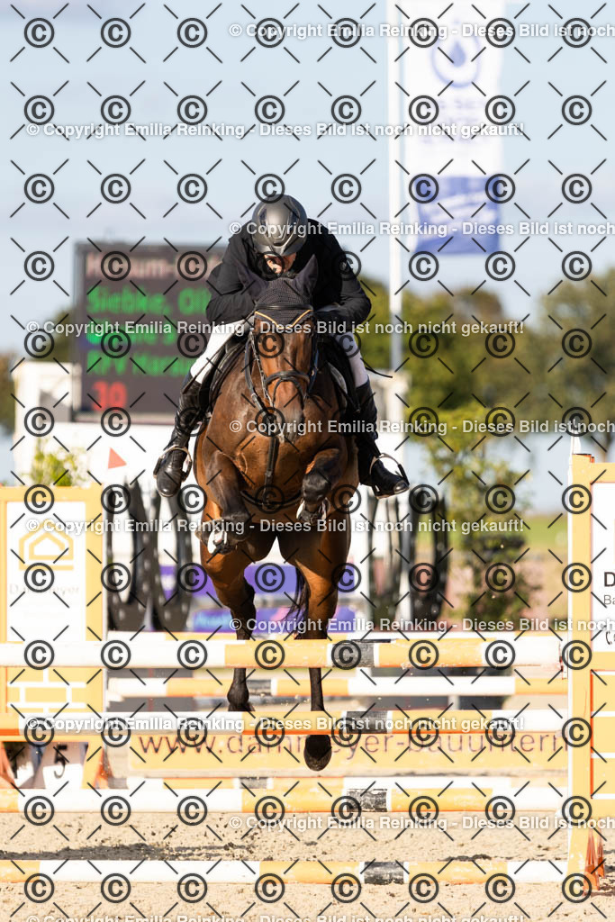 CL5A4352 | Emilia Reinking Fotografie - Realisiert mit Pictrs.com