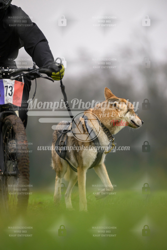 MompixPhotography_CDF2023_FFST_Di_Bike1-142 | PayLife