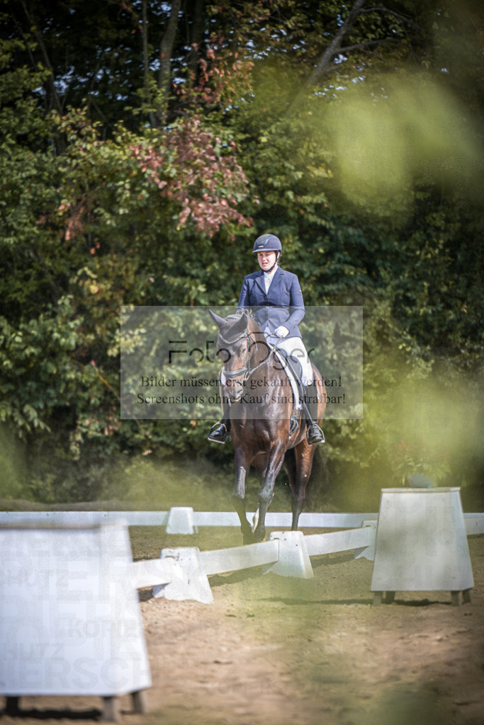 DOS_4295 | Entdecke hochwertige Reitturnierfotos von Foto Oger. Professionell, emotional und authentisch – jetzt Lieblingsmomente im Shop bestellen.Deutschlandweite Turnierfotografie. - Realisiert mit Pictrs.com