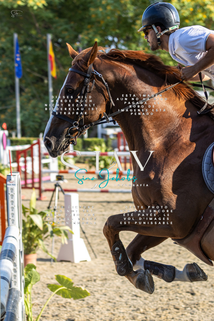 IMG_9662 | s-jay-photography - Realisiert mit Pictrs.com