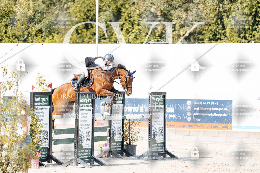 CK902074 | Turnierfotografie Pferdefotografie Trier Rheinland-Pfalz Pferdesport Reitsport Tierfotografie Sportfotografie Pferdevideo Pferdevideografie Equestrianvideography equestrianphotography  - Realisiert mit Pictrs.com