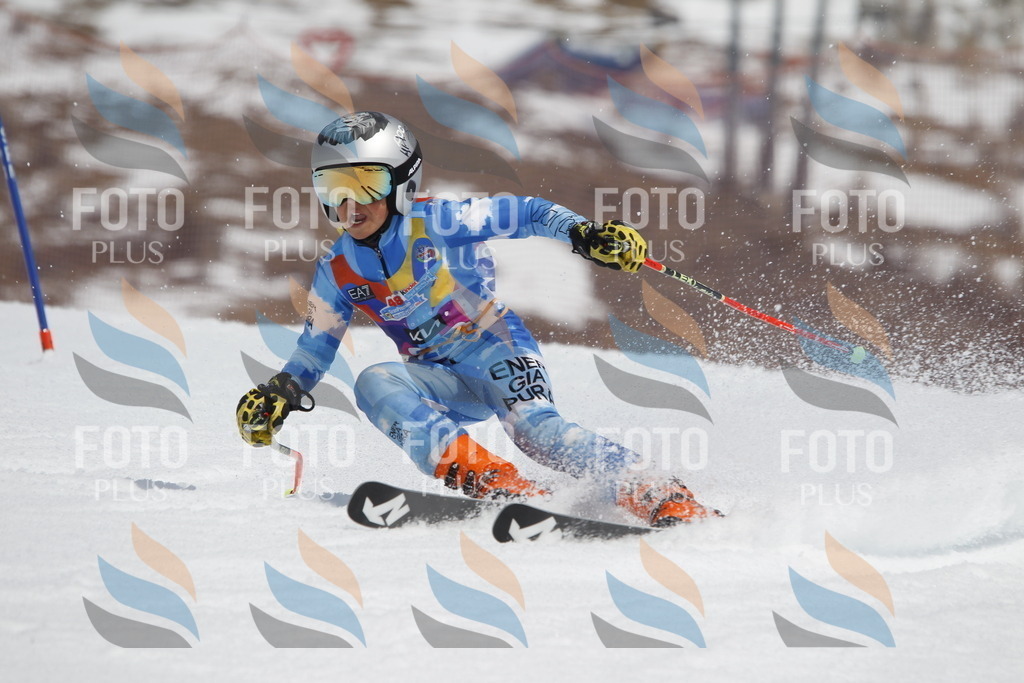 _U3G2498 | holidayphoto