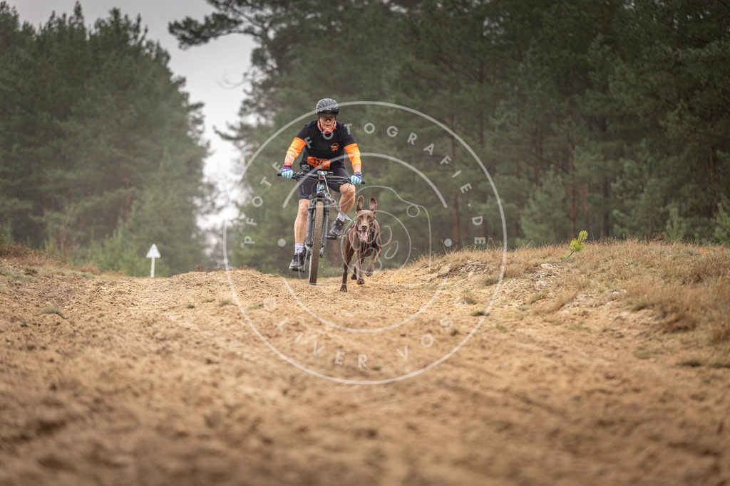 Pfotenfotografie_DV3A3585 | Hundefotografie, Tierfotograf, Pfotenfotografie, Fotoshooting Hund, Hunde Portrait, Hundesport, Hundeportraits, Heideshooting, Hunde, Sportfotograf, Hundefotograf, Turnierhundsport, THS,  - Realisiert mit Pictrs.com