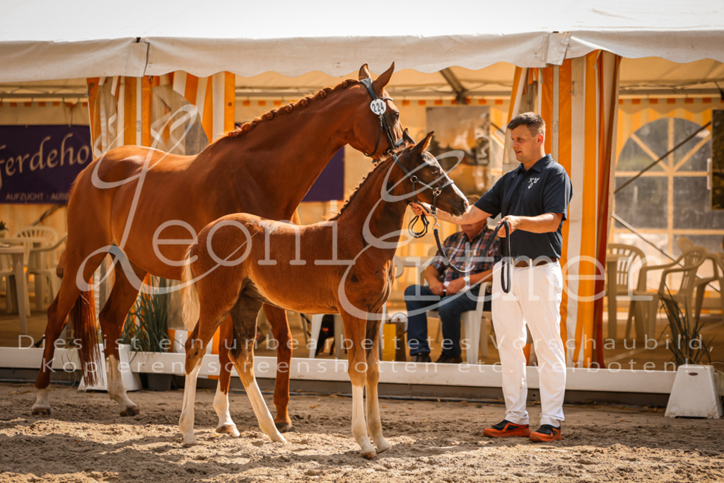 09.DoWBD00111 | Leoni Ertmer Photography - Realisiert mit Pictrs.com