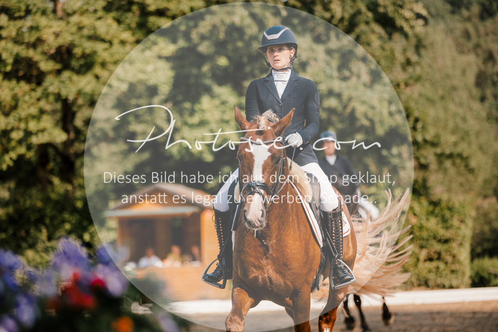 3I6A9078 | Stimmungsvolle Portraits und Reitsportfotografie im Ruhrgebiet und im Münsterland.

Pferdefotografie, Hundefotografie, Tierfotografie, Reportagen, Portraits von Tier und Mensch, Turnierfotografie in Bochum, Recklinghausen, Marl, Haltern am See, Dülmen.. - Realisiert mit Pictrs.com