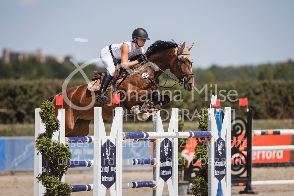 240629_LüPfSpTa_Youngster-S-142 | Deine schönsten Turniermomente als professionelle Fotos! Entdecke hochwertige Pferdesport-Fotografie im Online-Shop. Jetzt Fotos finden & bestellen!