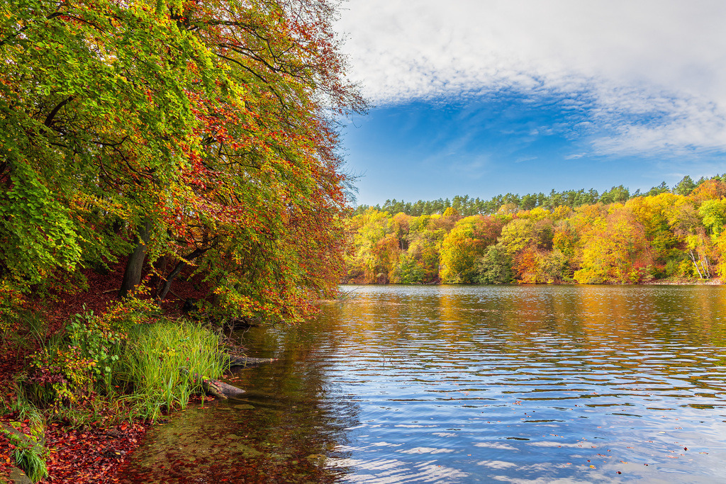 Blick über den See Schmaler Luzin auf die herbstliche Feldberger Seenlandschaft | Blick über den See Schmaler Luzin auf die herbstliche Feldberger Seenlandschaft.