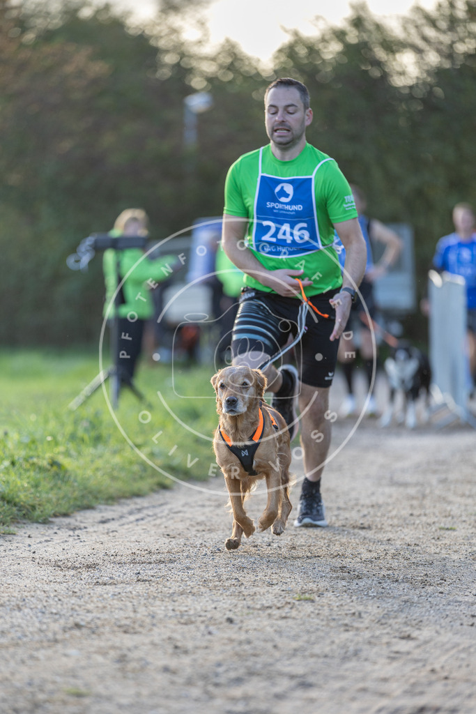 Pfotenfotografie.de_DV3A2722 | Hundefotografie, Tierfotograf, Pfotenfotografie, Fotoshooting Hund, Hunde Portrait, Hundesport, Hundeportraits, Heideshooting, Hunde, Sportfotograf, Hundefotograf, Turnierhundsport, THS, canicross - Realisiert mit Pictrs.com