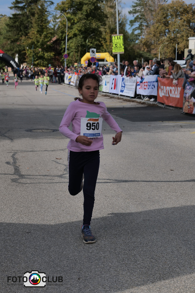 P1039042 | Foto Buchgraber