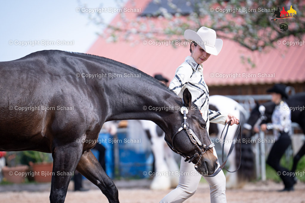 LMB07340 | BS-foto