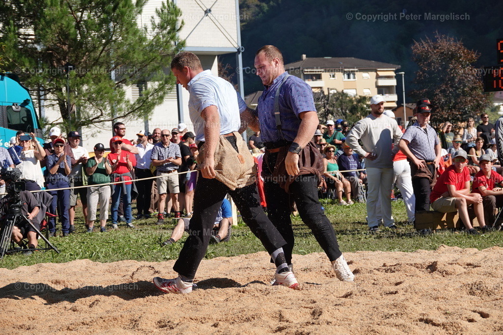 DSC01633 | Schwingen - Realisiert mit Pictrs.com