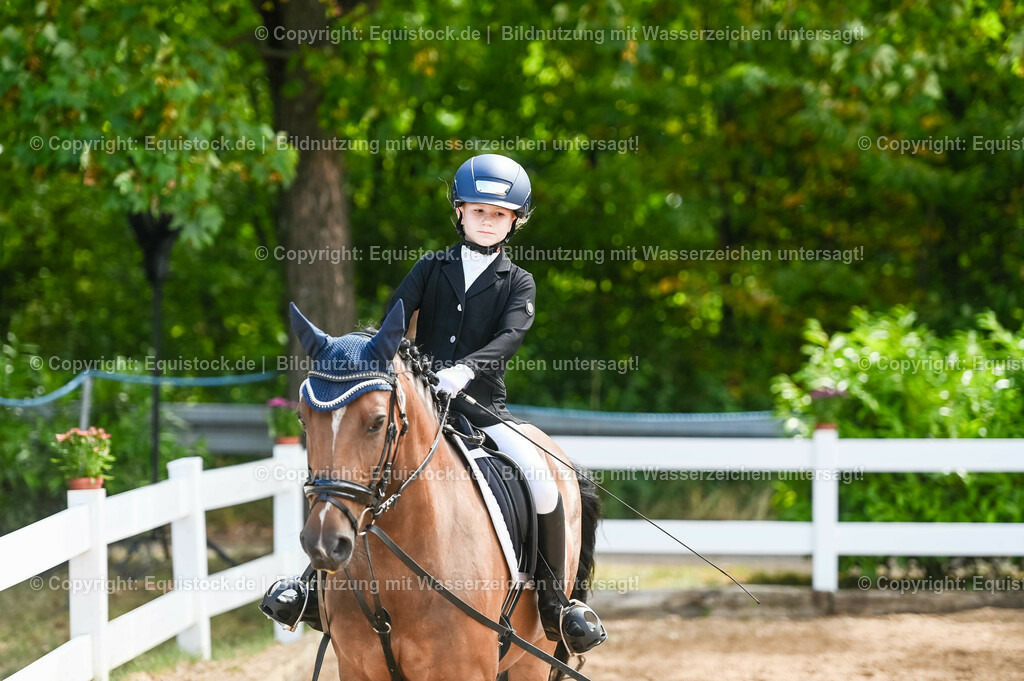 20230716_10-3_Reiter-WB Schritt - Trab - Galopp_0047 | equistock