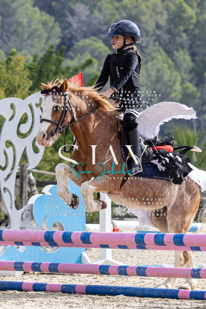 IMG_2141 | s-jay-photography - Realisiert mit Pictrs.com