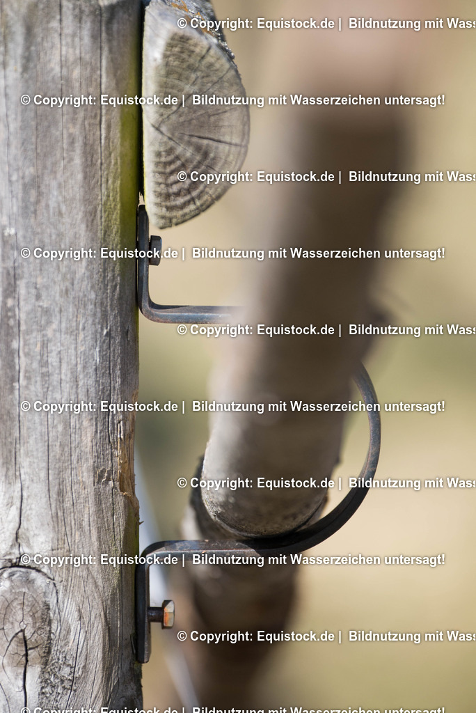 20170312_Koppelzaun_0014 | equistock