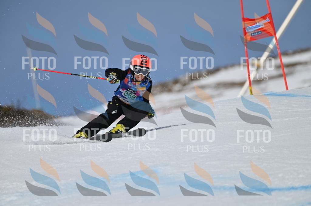 BGV_7235 | holidayphoto