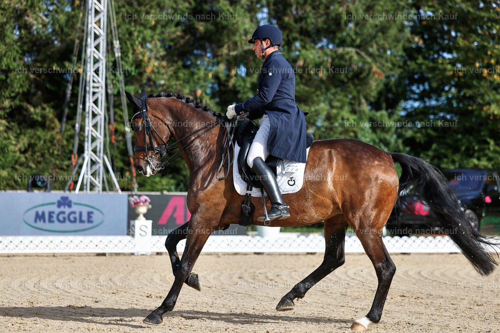 13-226-S___ -StoibPH-6924 | working equitationturnier fotograf videograf stoibphotography marixx film working equitation deutschland reitsport turnierfotografie eventfotografie equestrian events