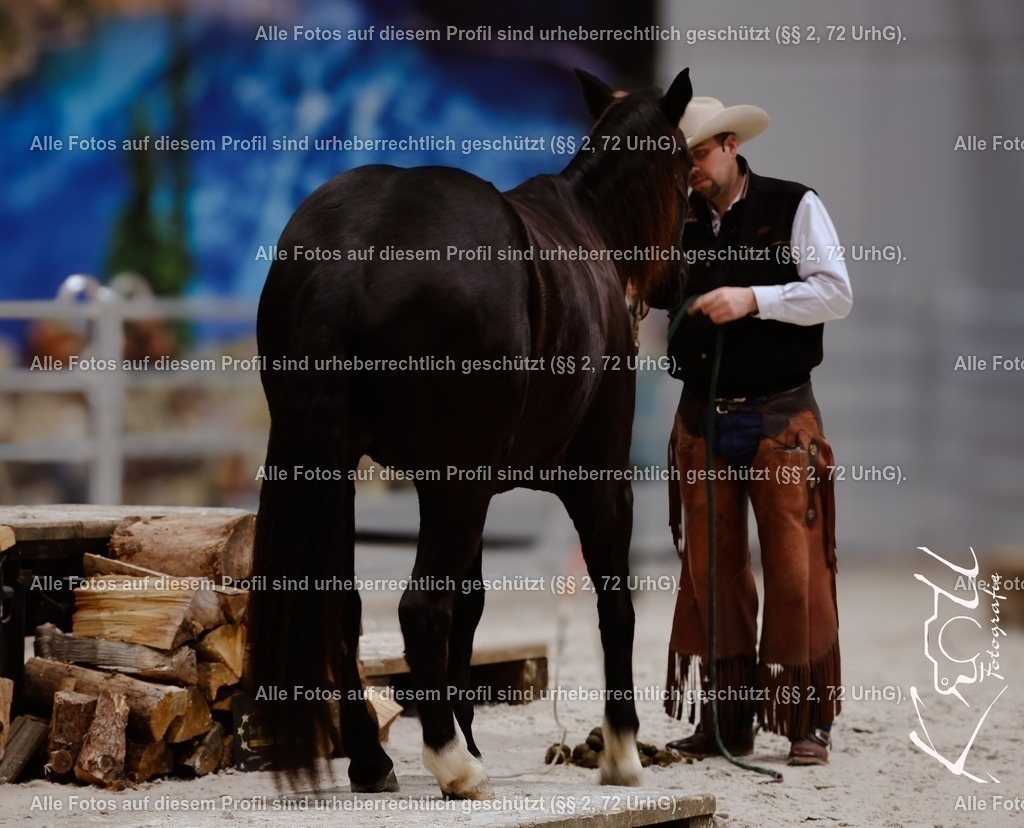 Photo_1737230890846 | krollfotografie - Realisiert mit Pictrs.com