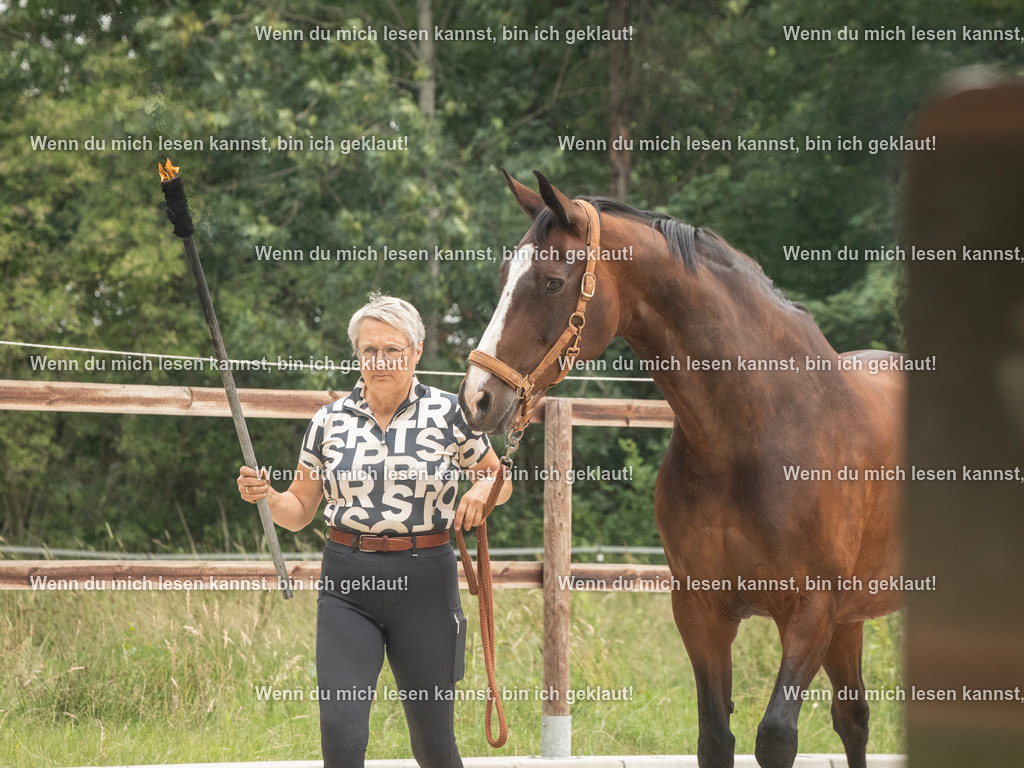 598A7137 | photographylinaismer - Realisiert mit Pictrs.com