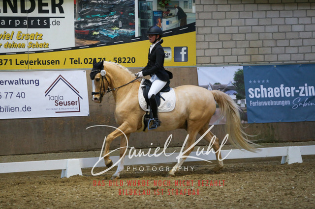 IMG_2782 | Turnierfotos kaufen im Webshop von Daniel Kuhl Photography – entdecke professionelle Reitsportfotos aus Turnieren & Events. Hochwertige Turnierbilder online bestellen & sichern. Jetzt Fotos von Reitsportturnieren kaufen!