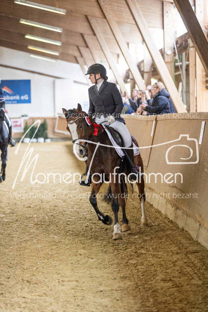 Sth-LPO25-A-Dr-175 | MomenTaufnahmen Pferdesportfotos