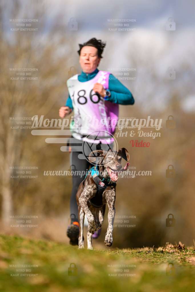 MompixPhotography_10Schwabentrail2026_SO_Canicross-100 | PayLife