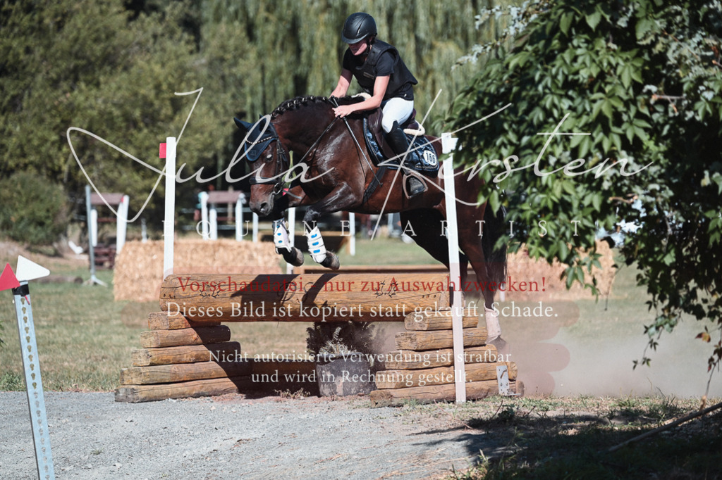 DSC_8674 | Pferde- und Turnierfotografie in Westsachsen. Pferdeportraits, Auftragszeichnungen und intuitive Kunst.