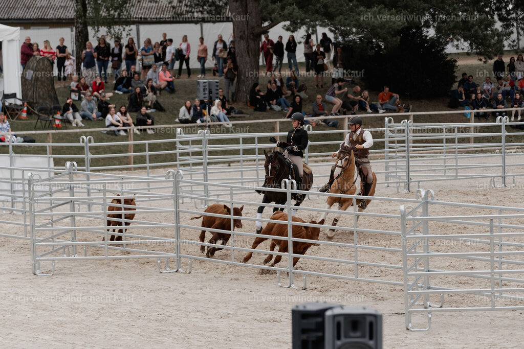 WE__Stoib_Rinder_PI2025_3135 | Pferd International München 2025