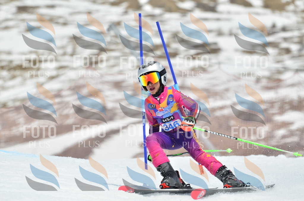 _ELE2621 | holidayphoto