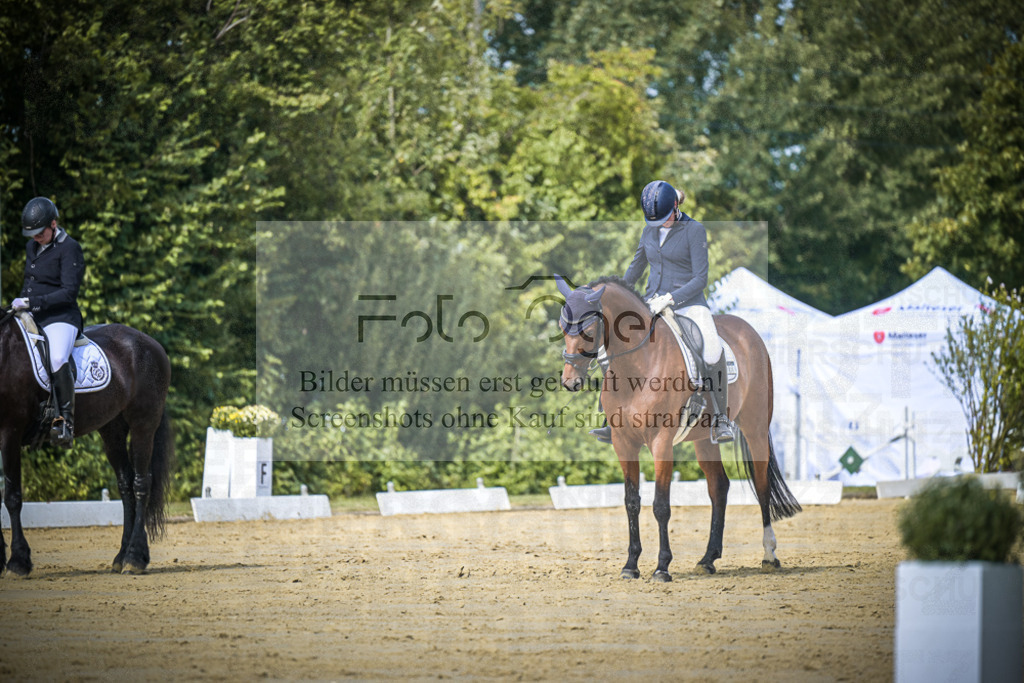 DOS_5174 | Entdecke hochwertige Reitturnierfotos von Foto Oger. Professionell, emotional und authentisch – jetzt Lieblingsmomente im Shop bestellen.Deutschlandweite Turnierfotografie. - Realisiert mit Pictrs.com