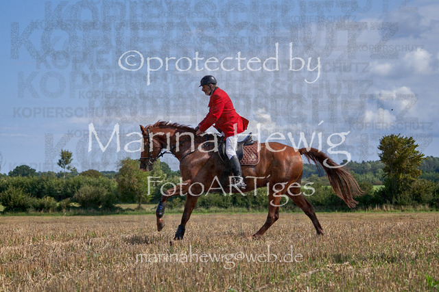 08-23 Bredeneek Jagd_MCH9093_Marina Hewig | Fotografie, FotoArt, PferdesportArt, Pferdesportfotografie, Landschaftsfotografie, Reisefotografie, Reise, Pferde - Realisiert mit Pictrs.com