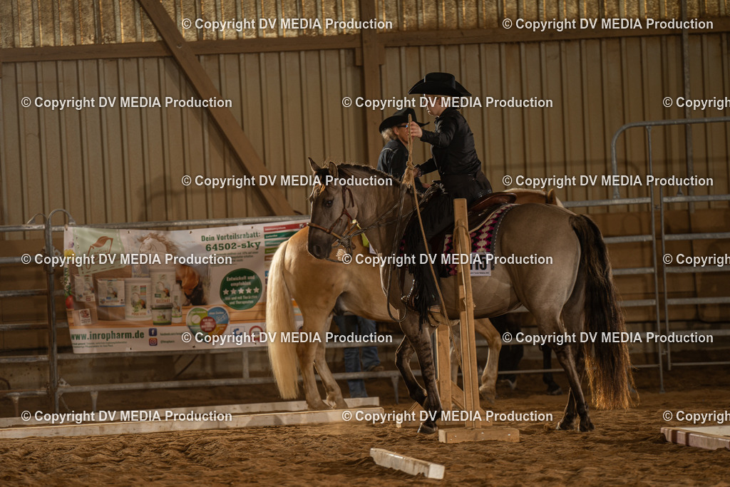 NID02516 | dv-media-shop - Realisiert mit Pictrs.com