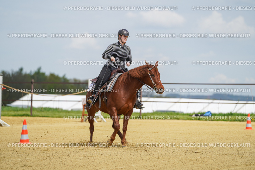 DSC05568 | Pferdegrafie