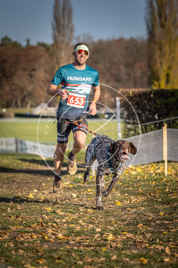 CaniXpix_DV3A0543 | Hundefotografie, Tierfotograf, Pfotenfotografie, Fotoshooting Hund, Hunde Portrait, Hundesport, Hundeportraits, Heideshooting, Hunde, Sportfotograf, Hundefotograf, Turnierhundsport, THS,  - Realisiert mit Pictrs.com