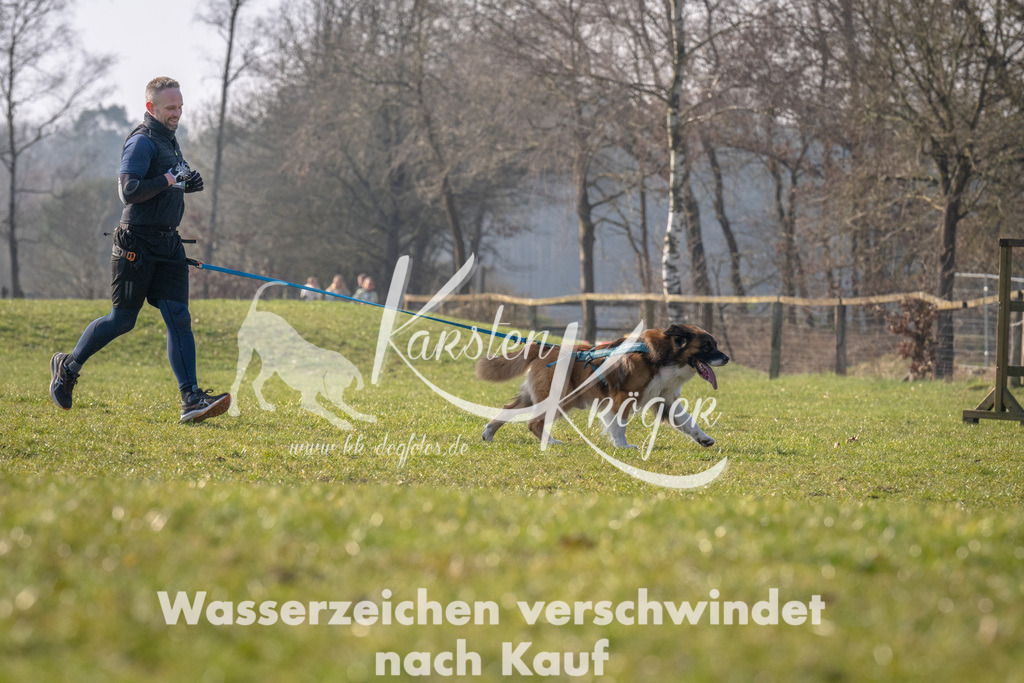 _ZZ93510 | kk-dogfotos