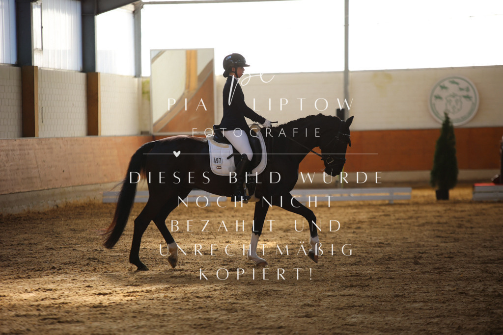 IMGT6211 | pl-fotografie