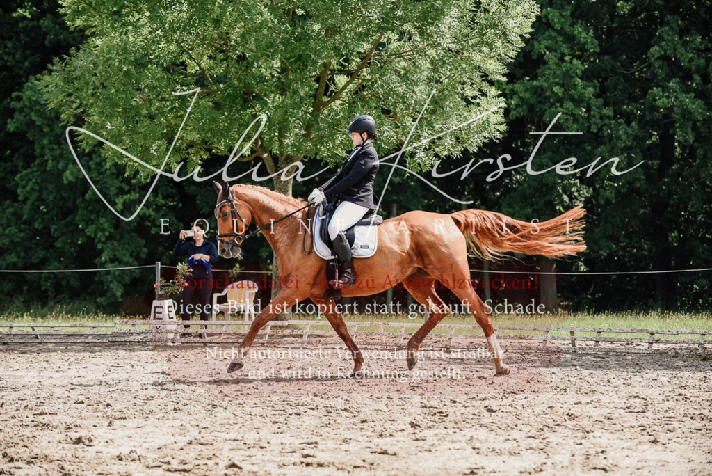 DSC_0285 | Pferde- und Turnierfotografie in Westsachsen. Pferdeportraits, Auftragszeichnungen und intuitive Kunst.