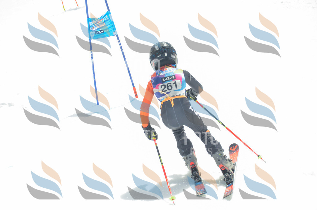 _ELE7671 | holidayphoto