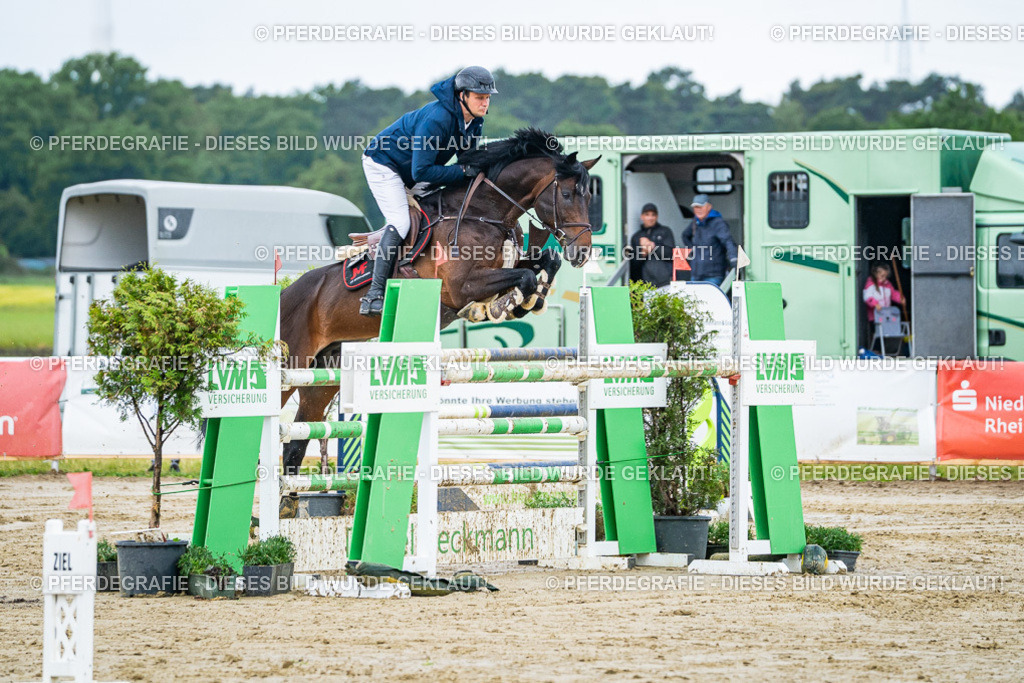 DSC03656 | Pferdegrafie