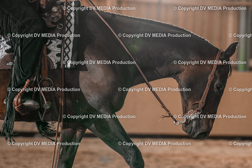 Balingen Tag 2-571 | dv-media-shop - Realisiert mit Pictrs.com