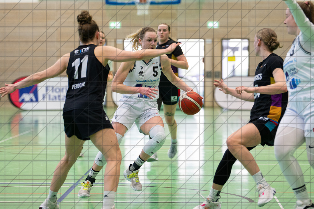 2. DBBL Nord 24/25 | 09.03.2025 | BBC OS vs. ChemCats Chemnitz | 2. DBBL Nord 24/25 | 09.03.2025 | BBC OS vs. ChemCats Chemnitz - - - - - CREDIT, www.bullenfotos.de, Martin König, Hörner Weg 40, D-49078 Osnabrück, +4917663732967, Nutzung und Weitergabe nur zu den vereinbarten Zwecken. Presseanfragen an Urheber. Alle Rechte beim Urheber. - - - - - - Realisiert mit Pictrs.com