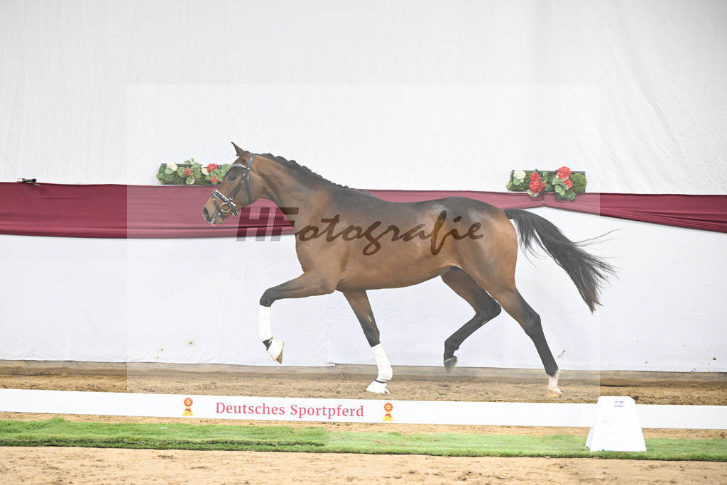 Kat-Nr. 26 Dynamic Dream x Le Mans_Kurt Fink_47250805 | hf-fotografie - Realisiert mit Pictrs.com