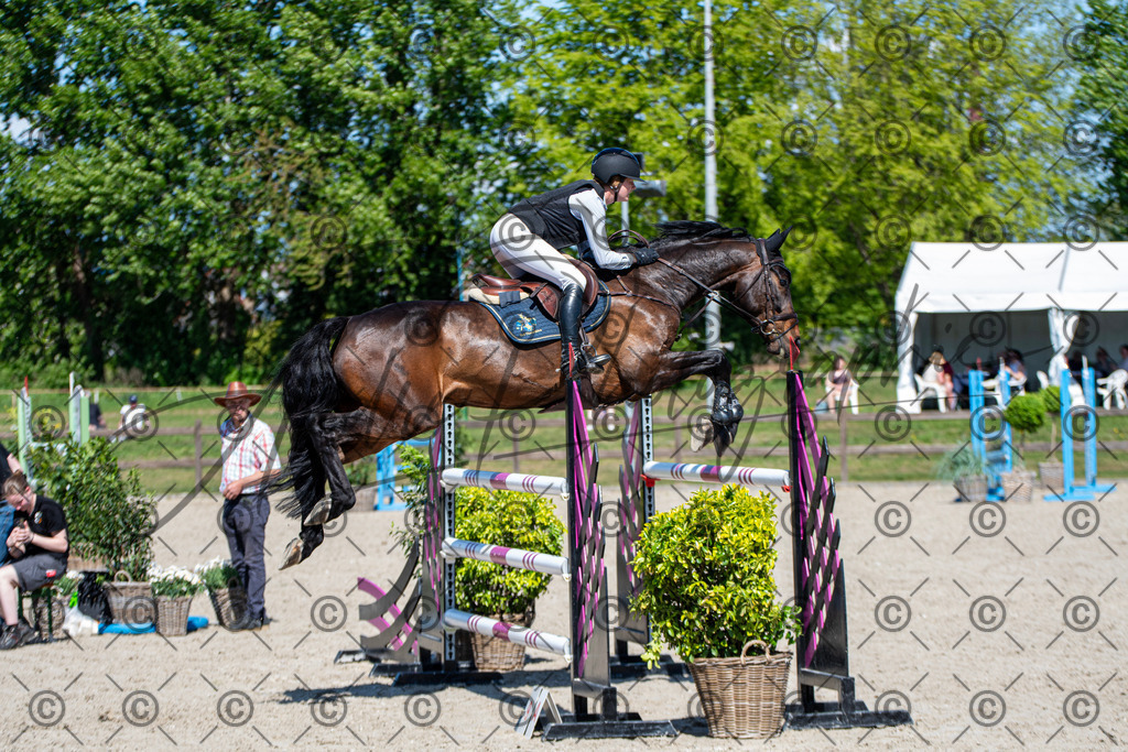 KPT_1269 | andre_photographic