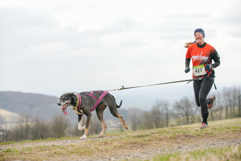 CaniXRunSA-168 | stephaniefillaphotographie - Realisiert mit Pictrs.com