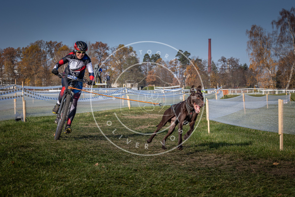 CaniXpix_0L8A7728 | Hundefotografie, Tierfotograf, Pfotenfotografie, Fotoshooting Hund, Hunde Portrait, Hundesport, Hundeportraits, Heideshooting, Hunde, Sportfotograf, Hundefotograf, Turnierhundsport, THS,  - Realisiert mit Pictrs.com