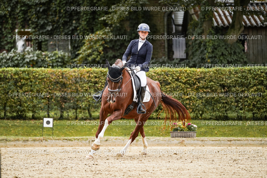 DSC06920 | Pferdegrafie