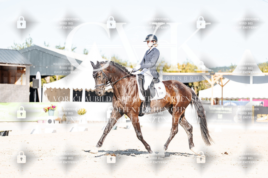CK907787 | Turnierfotografie Pferdefotografie Trier Rheinland-Pfalz Pferdesport Reitsport Tierfotografie Sportfotografie Pferdevideo Pferdevideografie Equestrianvideography equestrianphotography  - Realisiert mit Pictrs.com