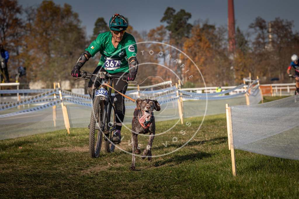 CaniXpix_0L8A7733 | Hundefotografie, Tierfotograf, Pfotenfotografie, Fotoshooting Hund, Hunde Portrait, Hundesport, Hundeportraits, Heideshooting, Hunde, Sportfotograf, Hundefotograf, Turnierhundsport, THS,  - Realisiert mit Pictrs.com