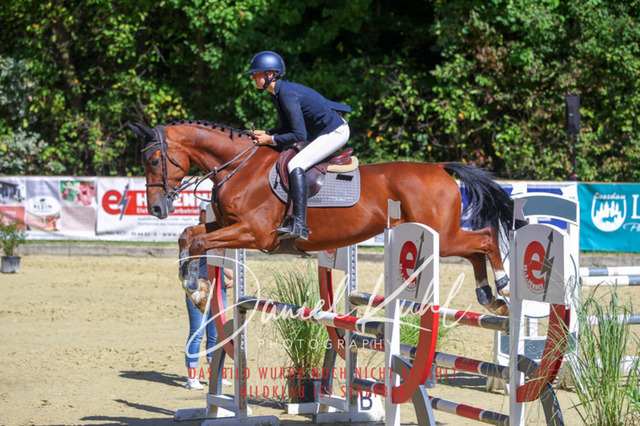 DKP43221 | Turniersportfotografie; Pferdefotografie; Dressurfotografie